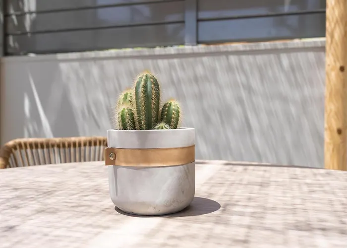 Milva Mare Luxury 公寓