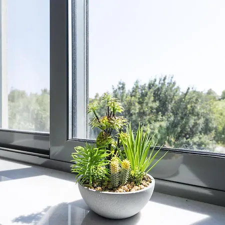 Milva Mare Luxury * İstanköy