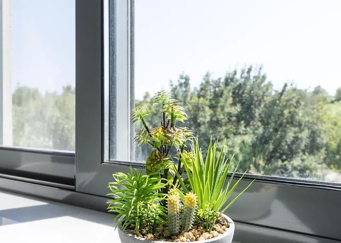 Milva Mare Luxury * Kos